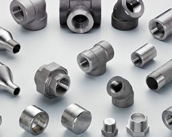 Carbon & Alloy Steel Forged fitting